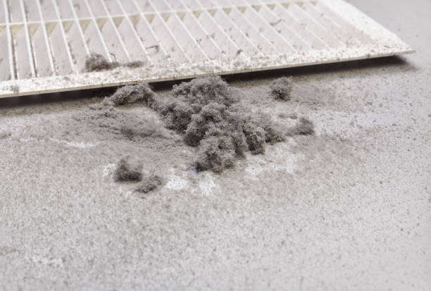 Best Best Air Duct Cleaning Company  in Paramount Long Meadow, MD