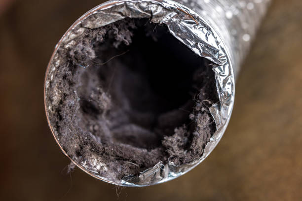 Air Duct Mold Removal in Paramount Long Meadow, MD